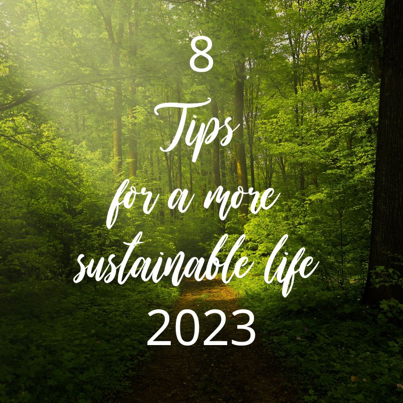 8 Tips for a More Sustainable Life-in-2023